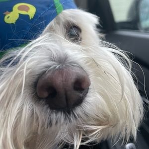 Meet your Posher, Ryon